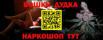 индика Тверь