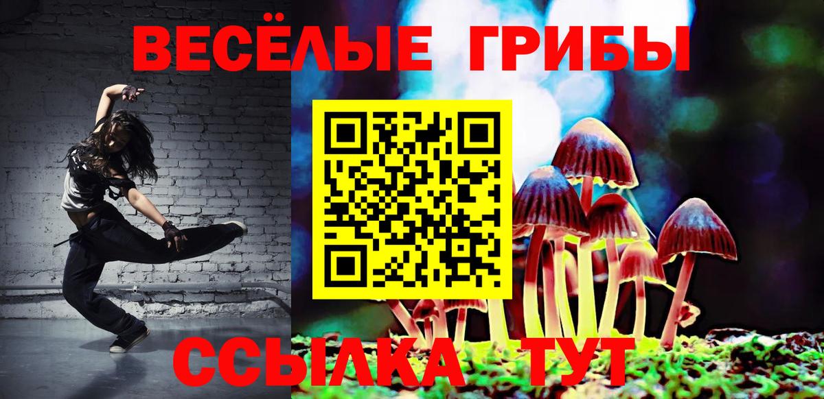 Галлюциногенные грибы Psilocybe  Вход с VPN  Новошахтинск 