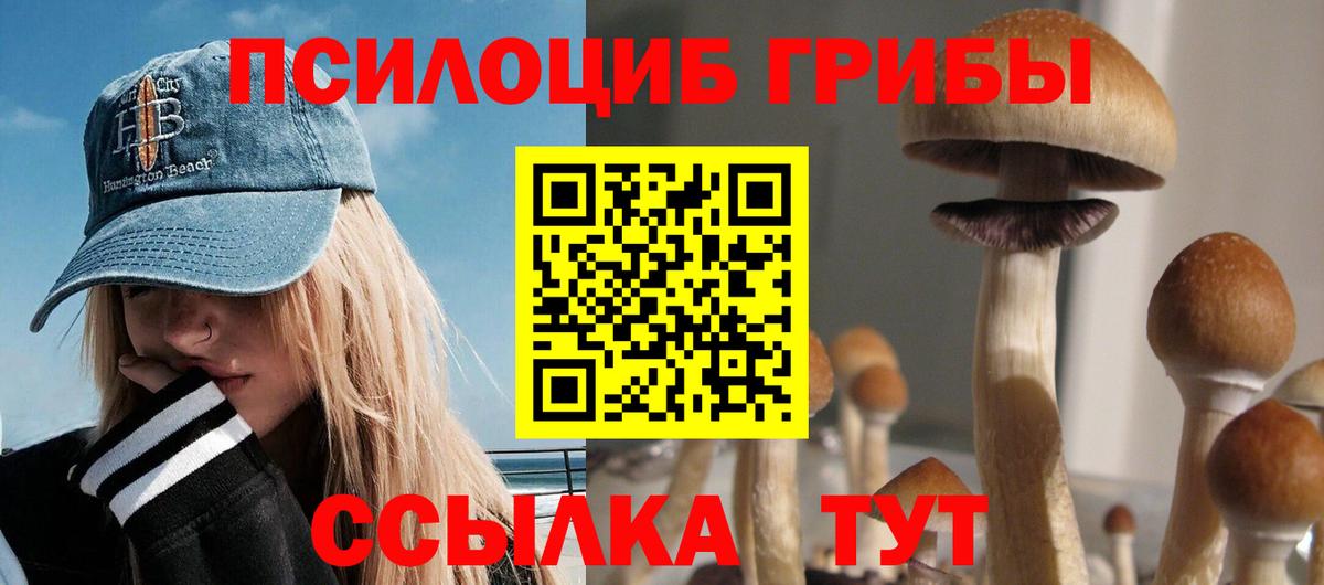 Псилоцибиновые грибы Magic Shrooms Новошахтинск