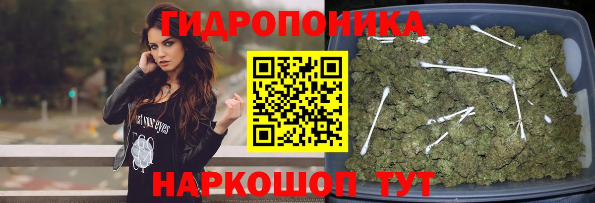 Новошахтинск  Каннабис планчик  Вход с VPN  Шишки марихуана планчик  МАРИХУАНА индика 